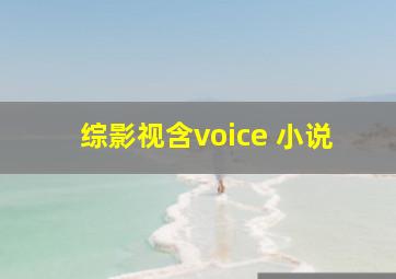 综影视含voice 小说